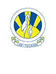 City School